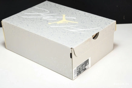 4 Photon Dust Retro Craft SE Jordan 0720